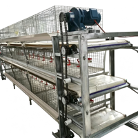 Fournisseur de système de cages en batterie semi-automatiques de type H à petite échelle pour 10 000 poulets de chair avec courroie manuelle