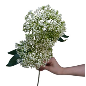 Bulbes artificiels d'amarilles, de tulipes et d'hortensias blancs, baies d'avoine, design en dentelle, décoration douce pour mariage, photographie en extérieur, décoration intérieure - Product Image 1