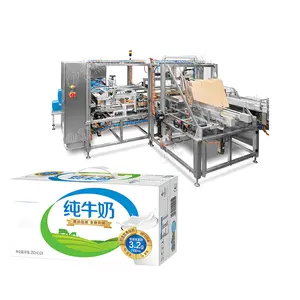 Custom Wraparound Carton Case Packer Machine Widely Used In Wheat Flour Tapioca Big Bags