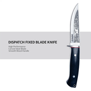 Vente en gros couteau à lame fixe OEM, Mini couteau de poche de survie de <span class=keywords><strong>Combat</strong></span> tactique de chasse pour l'extérieur - Product Image 4