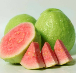 Guayaba guaudio-videoa WAX-Apple <span class=keywords><strong>psidium</strong></span> guava สารสกัดจากใบ - Product Image 4