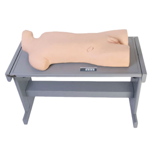 Mannequin d'entraînement à la ponction thoracique ADA CK818/CK819 en PVC médical pour la cavité thoracique, ponction d'abcès hépatique, simulation de ponction thoracique - Product Image 2