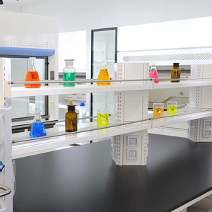 Laborinseltisch aus Stahl mit Spülbecken und Schrank, Säurebeständige Epoxidharz-Arbeitsplatte für Chemielabore - Product Image 5