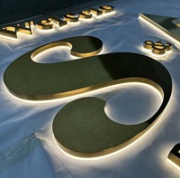 Enseigne lumineuse en acier inoxydable finition brossée IP65 certifiée CE&RoHS, logo rétroéclairé, lettres rétroéclairées LED, logo 3D laser