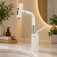 Robinet de cuisine et salle de bain intelligent MOSHE à poignée unique, montage sur plan, avec douchette extractible, cartouche céramique, en laiton, moderne, pour usage hôtelier 5
