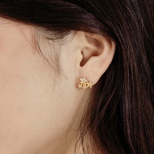 Dylam xinh xắn đồ trang sức thời trang năm mới giáng sinh Xmas Lễ Hội Phụ Nữ Cô Gái 5A Cubic Zirconia Fine cụm hoa Stud Bông tai - Product Image 2