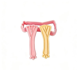 Moule à biscuits 3D en forme de <span class=keywords><strong>dragon</strong></span> de dessin animé, <span class=keywords><strong>emporte</strong></span>-pièce en argile gaufrée DIY - Product Image 3