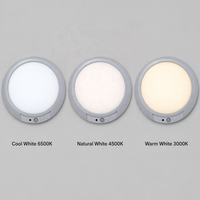 Lampe à détecteur de mouvement rechargeable sans fil avec télécommande, intensité réglable, 3 températures de couleur, minuterie d'arrêt automatique, fixation magnétique pour placard et garage
