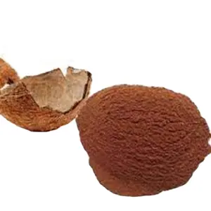 [BEST SELLER] COCONUT SHELL POWDER FROM VIETNAM - THE BEST PRODUCT WITH BEST PRICE AND HIGH QUALITY FOR EXPORT STANDARD