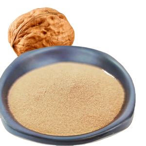 Commercio all'ingrosso della fabbrica idrolizzato noce collagene proteine Peptide buon gusto estratto vegetale Oligopeptide in polvere per lo sviluppo del cervello - Product Image 1