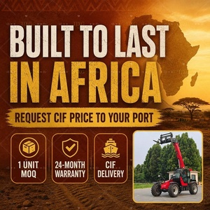Manipulador Telescópico Directo de Fábrica <span class=keywords><strong>para</strong></span> África, 3000KG, CIF Lagos, Mombasa, <span class=keywords><strong>Durban</strong></span>, Sin Intermediarios, Yuchai 75kW, 1 Año de Garantía, Certificado CE - Product Image 6
