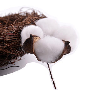 Decorazione della casa singola di Cotone testa di fiore naturale fiori secchi fai da te fatti a mano di elaborazione di simulazione personalizzato fiori di cotone - Product Image 2