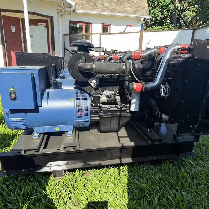 250kW Open Frame Diesel Generator Set 3 Phase 50/60Hz for Heavy Duty ...