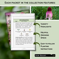 Collection de 10 sachets de graines de fleurs anciennes non-OGM : Coleus, Œillet, Marguerite, Calendula, Zinnia pour la culture de fleurs artificielles