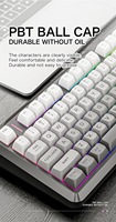 Clavier de jeu mécanique sans fil double mode russe FREE WOLF M75 avec touches PBT dégradées, rétroéclairage RVB, touches programmables USB-C