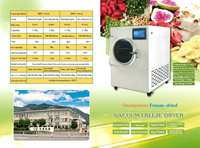 Aangepaste Shaoxing Walley commerciële multifunctionele vriesdroogmachine van roestvrij staal 304 met pomp voor fruit en groenten