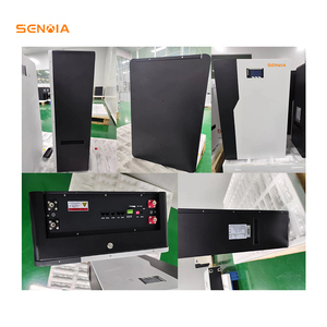 Batería de Litio Económica para Sistema de Almacenamiento de Energía Solar de Uso Doméstico, Montada en Pared, 51.2V 100AH, en Stock - Product Image 5