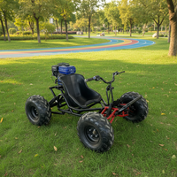 Kart électrique de course professionnel pour adultes à quatre roues avec freins à disque, buggy 4x4, sports de plein air, moteur 48V, transmission par chaîne