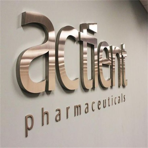 Letrero con Logotipo Personalizado para Puerta de Negocio, Logotipo de Tienda, Salón de Belleza, Letrero Personalizado para Edificio, Diseño de Letrero con Nombre de Tienda - Product Image 3