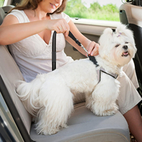 Cinturón de seguridad para perros con amortiguador elástico, accesorios de viaje para coche para perros y gatos, cinturón de seguridad ajustable retráctil para mascotas