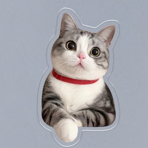 Autocollant <span class=keywords><strong>magnétique</strong></span> haut de gamme en PVC <span class=keywords><strong>pour</strong></span> réfrigérateur, personnalisé avec photo d'animaux (chats, chiens), design créatif, promotionnel et réactif - Product Image 5
