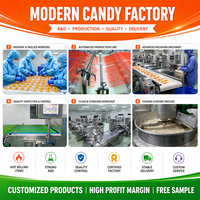 Usine de chocolat OEM vente en gros marque privée bonbons boule de chocolat bombe avec guimauve
