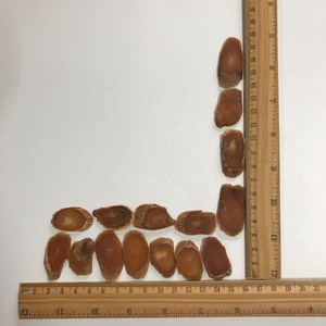 1011 Hồng Thân - Sợi nhân sâm đỏ khô chất lượng cao dùng pha trà - Product Image 3