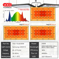 La culture de plantes agricoles Led élèvent la lumière Conception brevetée lm282b lm301h120W 240W Led élèvent la lumière