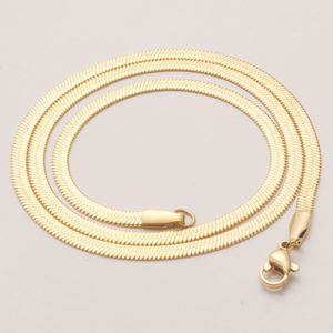 Wholesale Women Sexy Titanium Steel Flat Snake Bone Chain Thick Herringbone Necklace for Men Female Jewelry - Product Image 2
