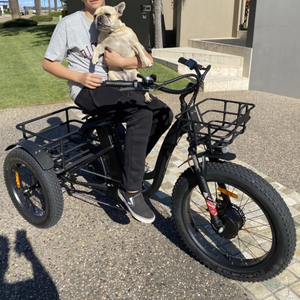 תלת אופן חשמלי קטן 20 אינץ' מהיר, אופניים חשמליים עם סוללה, אופניים חשמליים למשלוחי מזון, ממלאי המפעל - Product Image 2