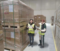 UE Rotterdam Stock Niveau 1 toutes les marques 450 Watt 425w 430w 435w 440w 445 Watts Mono Pv Modules Vertex S Plus Trina Panneaux solaires 450 w