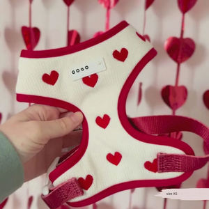 Set Harness Anjing Sherpa Pet Luxury Lamb Ukuran Kecil, Rompi Hangat Warna Solid, Logo Kustom, Aksesoris Hewan Peliharaan untuk Anjing dan Kucing - Product Image 3