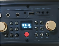 Enceinte karaoké portable 50W avec système DSP PA, entrée guitare et diffusion en direct