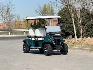 Carrito de Golf Eléctrico 48V con Carga Rápida, Certificado CE, 3-4 Asientos, 90km de Autonomía, Nuevo Modelo, Vehículo Utilitario Robusto para Turismo, Granjas y Ranchos - Product Image 2