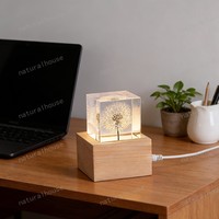 Lampe de chevet en résine époxy avec pissenlit préservé, cube de fleurs naturelles, base en bois, alimentation USB, mini lampe d'ambiance de table