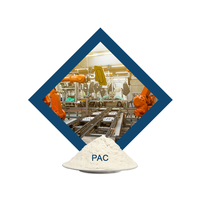 Source Usine En Gros Non Toxique Soluble Dans L'eau Polyanionic Cellulose PAC HV pour Forage Fluide Filtration Contrôle