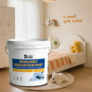 Peinture silicate inorganique magnifique avec finition mate naturelle pour la décoration intérieure moderne - Product Image 1