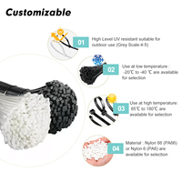 Échantillon Gratuit ZHENGDE – Serre-câbles en Nylon 66 Noir Auto-Bloquant Écologique de 4,8 mm de Largeur, Longueurs 200 mm, 300 mm, 400 mm, 500 mm – Attaches Rapides en Nylon