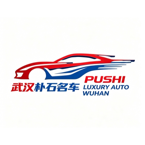 Wuhan Pushi Automotive Technology Co., Ltd. logo