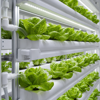 Conteneur d'agriculture verticale modulaire certifié CE, ferme hydroponique intelligente pour la culture de légumes à feuilles vertes, prix d'usine, exportation