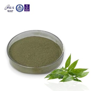 Polvo de Andrografólidos, Extracto de Hierba 'Rey de las Hierbas Amargas', Estándarizado al 10% de Andrografólidos, 1% de Polvo Herbal a Granel - Product Image 1