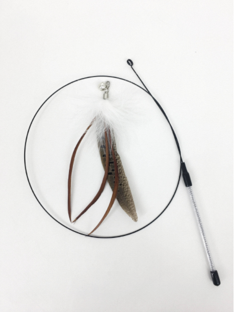 Plumes de tétras à main