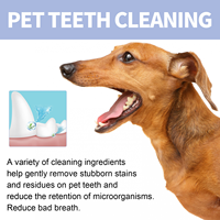 Dentifrice OEM personnalisé pour animaux de compagnie, produits de nettoyage pour chats et chiens, soin buccal et des gencives, prévention du tartre, dentifrice comestible pour chats