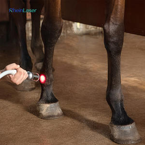 Macchina veterinaria cura diodo Laser terapia macchina 810nm 980nm Vet fisioterapia per alleviare il dolore - Product Image 2