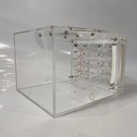 YAGELI Boîte d'élevage pyramidale en acrylique transparent personnalisée pour fourmis, nid vivant pratique, service professionnel, présentation uniquement