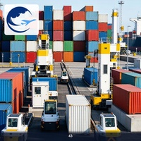 Servicio de Transporte de Carga en Contenedores Puerta a Puerta de Qingdao a Australia, DDP, DDU, Despacho de Aduanas