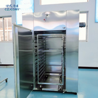 Four de séchage à air chaud CT-C pour produits agricoles et dérivés