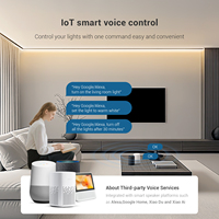 Controlador LED Wi-Fi CCT Inteligente IoT con Control por Voz, Dimmer PWM de 2 Canales DC5-24V, Sincronización Musical, Control Remoto RF Inalámbrico de Doble Canal SP547E