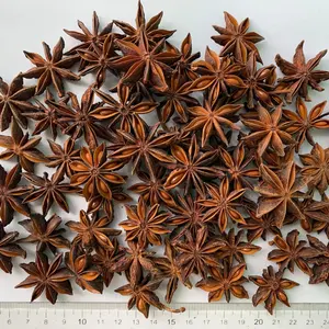 VIETNAMESE AUTUMN STAR ANISE MAIN CROP HOT SPICES AND HERBS LOW PRICE HANFIMEX NATURAL FOREST ORIGIN HOT SELLER +84374074818