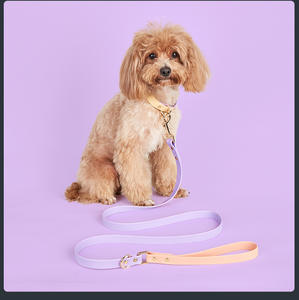 Ensemble collier et laisse pour chien en PVC coloré, imperméable, réglable, colliers de luxe pour animaux de compagnie avec motif animalier, petite taille - Product Image 6